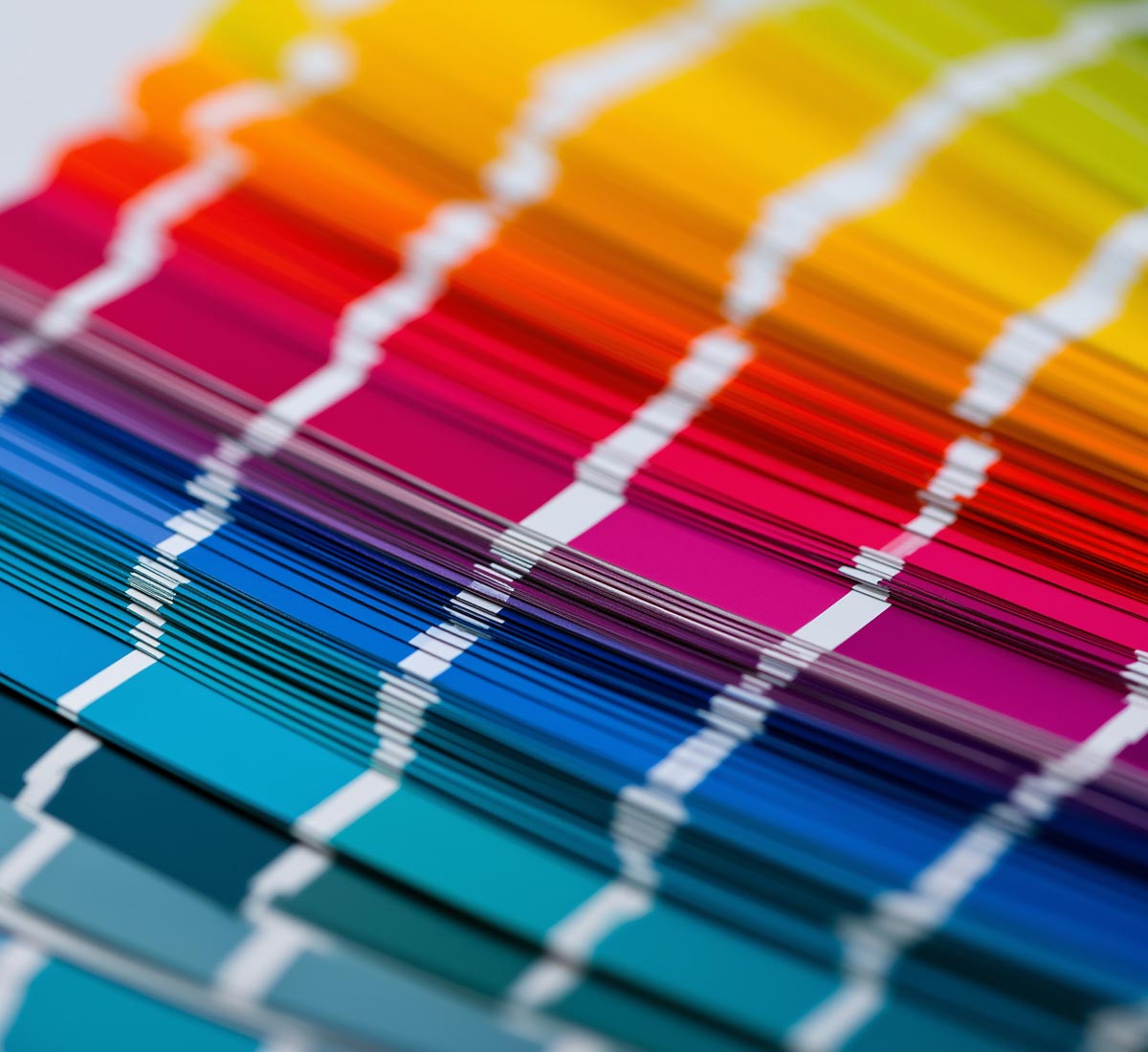 Colour swatches, a range of vibrant colours, like loads of them!