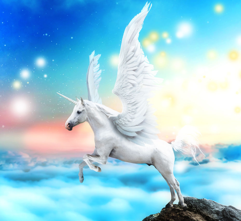 Unicorn on cloud with starlight sky